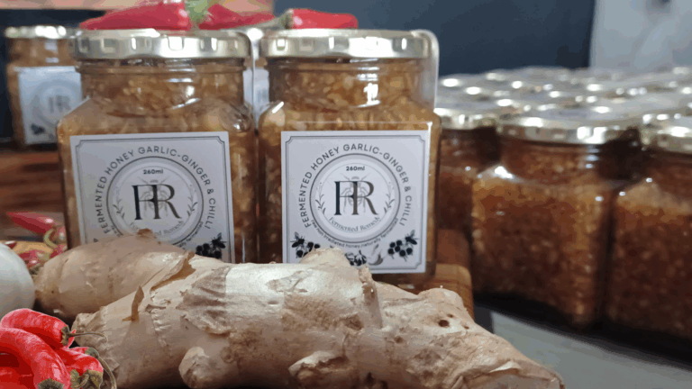 Garlic, Ginger & Chilly Fermented Remedy Durbanville Cape Town