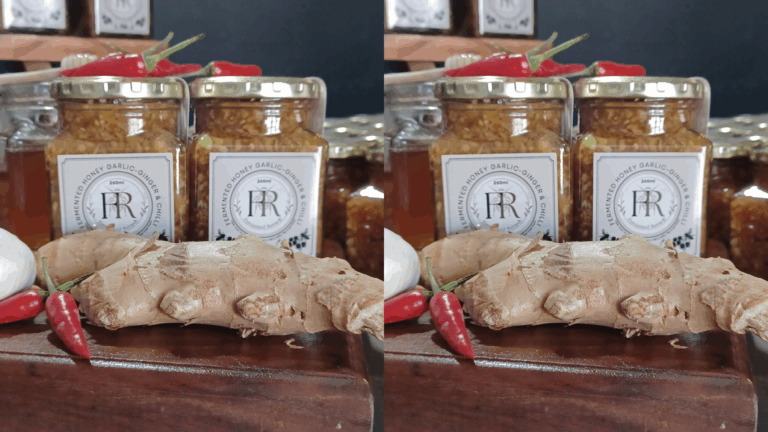 Garlic, Ginger & Chilly Fermented Remedy Durbanville Cape Town